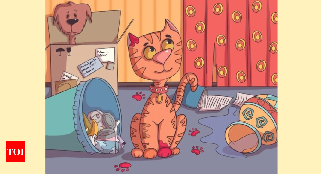 Optical Illusion: Can you help this cat find the fish in the room? |