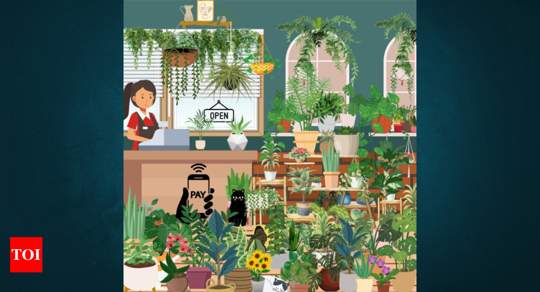 Optical Illusion: Can you spot the hidden cactus in this plant shop? |