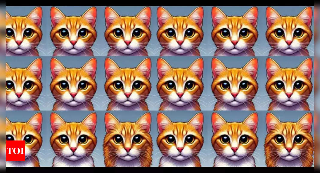 Optical Illusion: Find the odd kitty in this picture within 10 seconds |