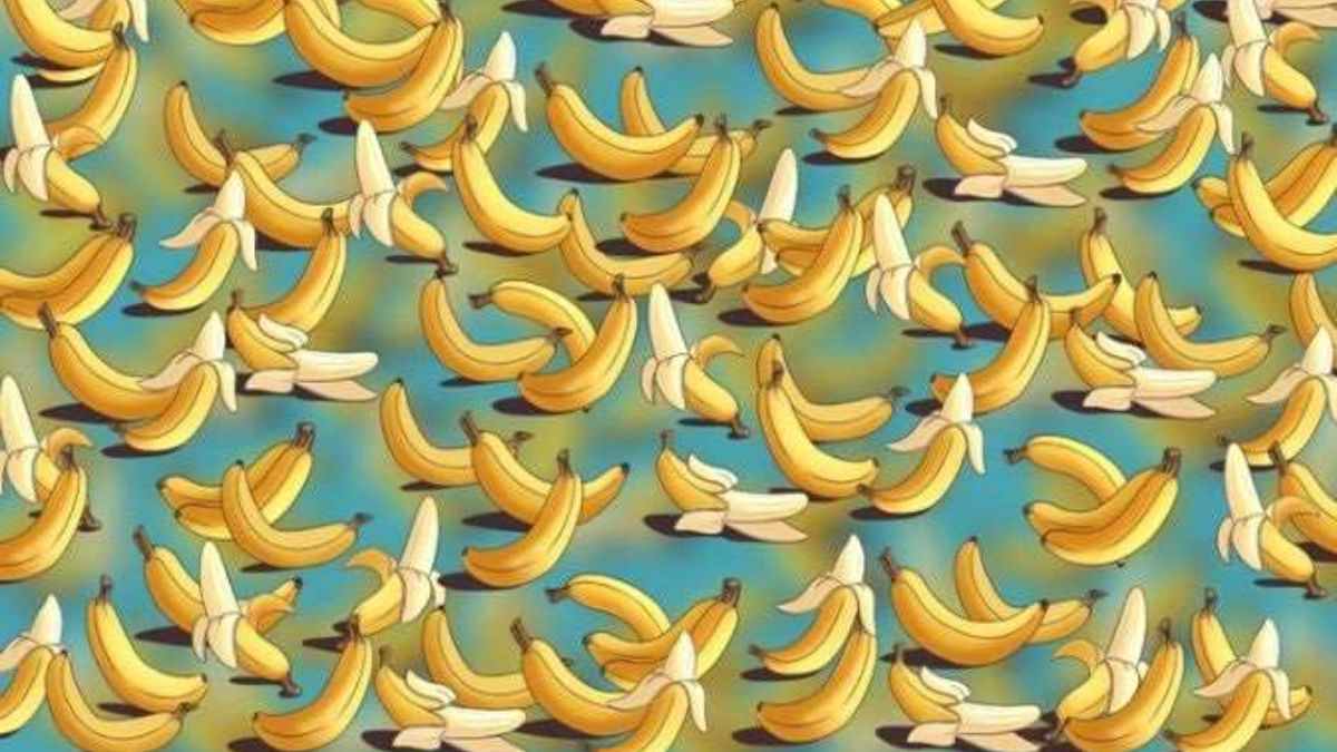 Optical Illusion IQ Test: Can You Spot the Boomerang Hidden Among Bananas In 5 Seconds?