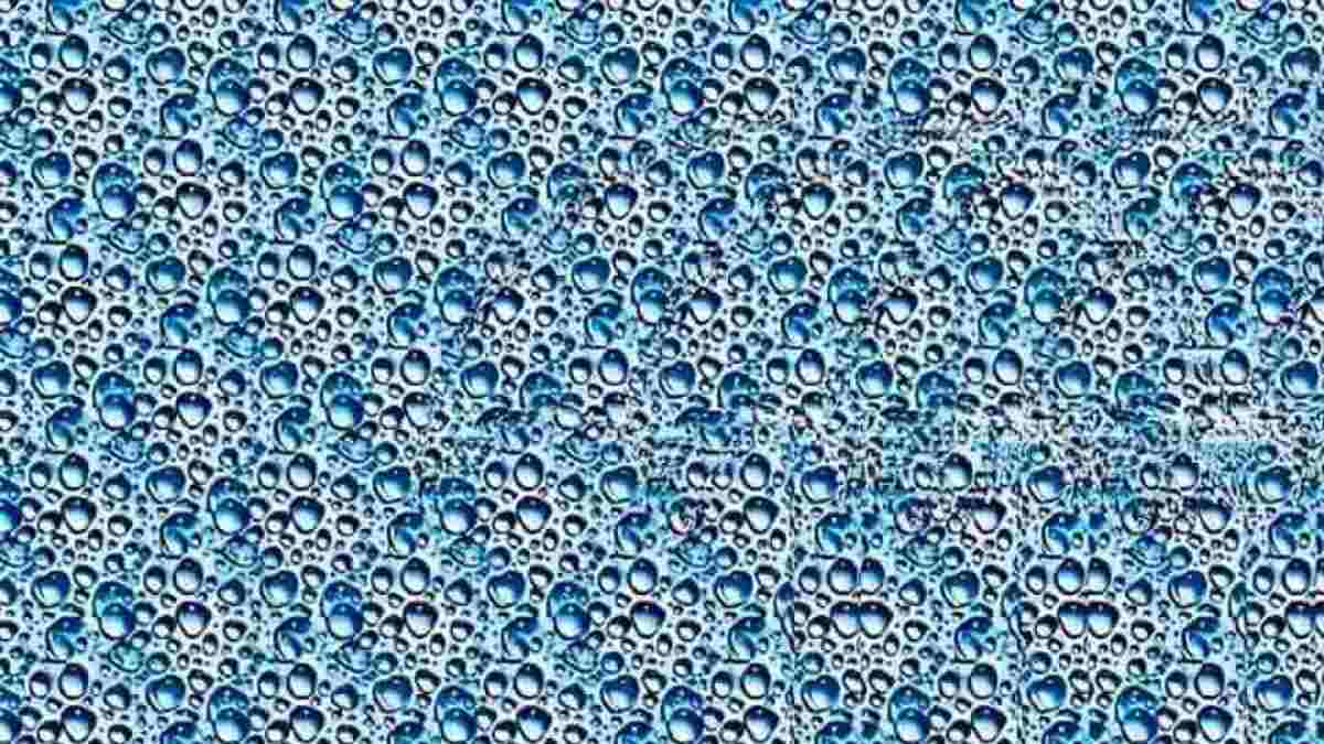 Optical Illusion IQ Test: Only 1 In 5 Can Spot The Hidden Object In 5 Seconds! Can You?