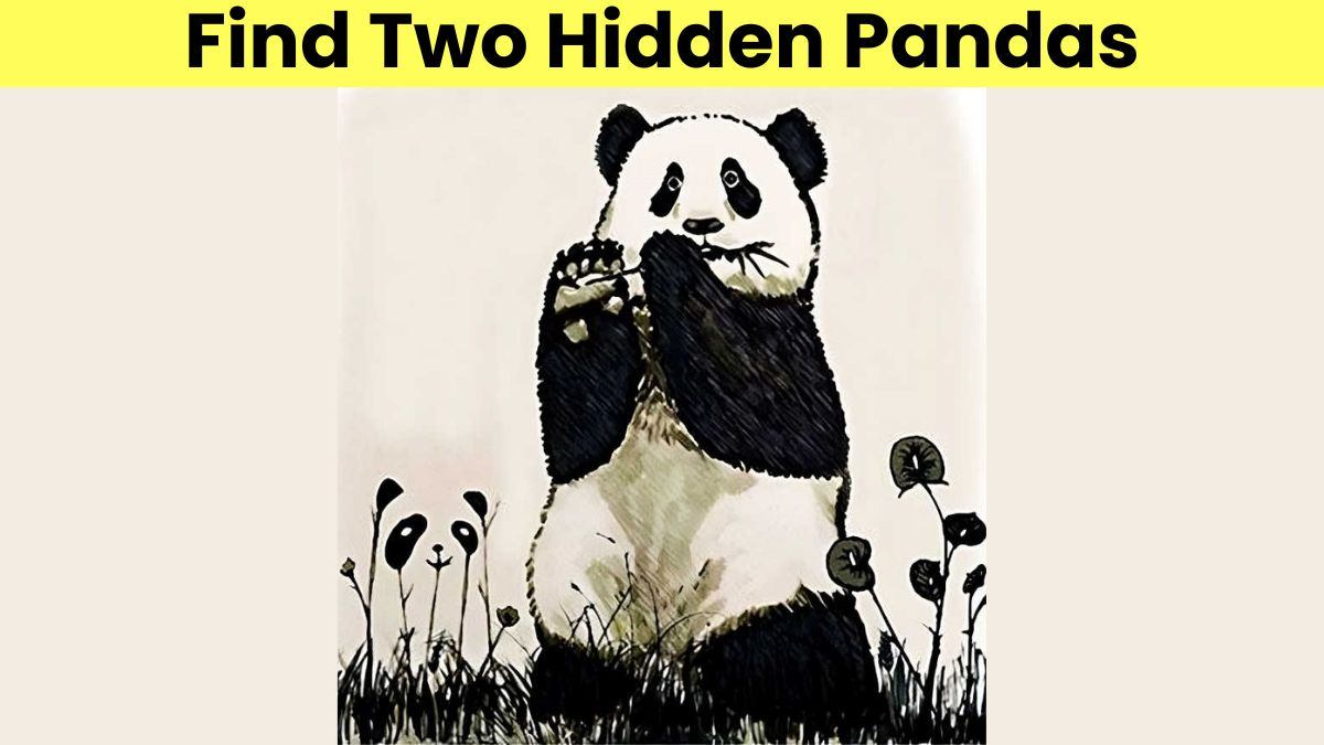 Optical Illusion IQ Test: Only 1% With An Eye For Detail Can Spot Two Hidden Pandas In 5 Seconds!