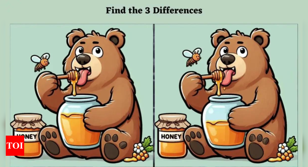 Optical Illusion: Only a genius with sharp eyes can spot 3 differences in this bear eating honey picture |