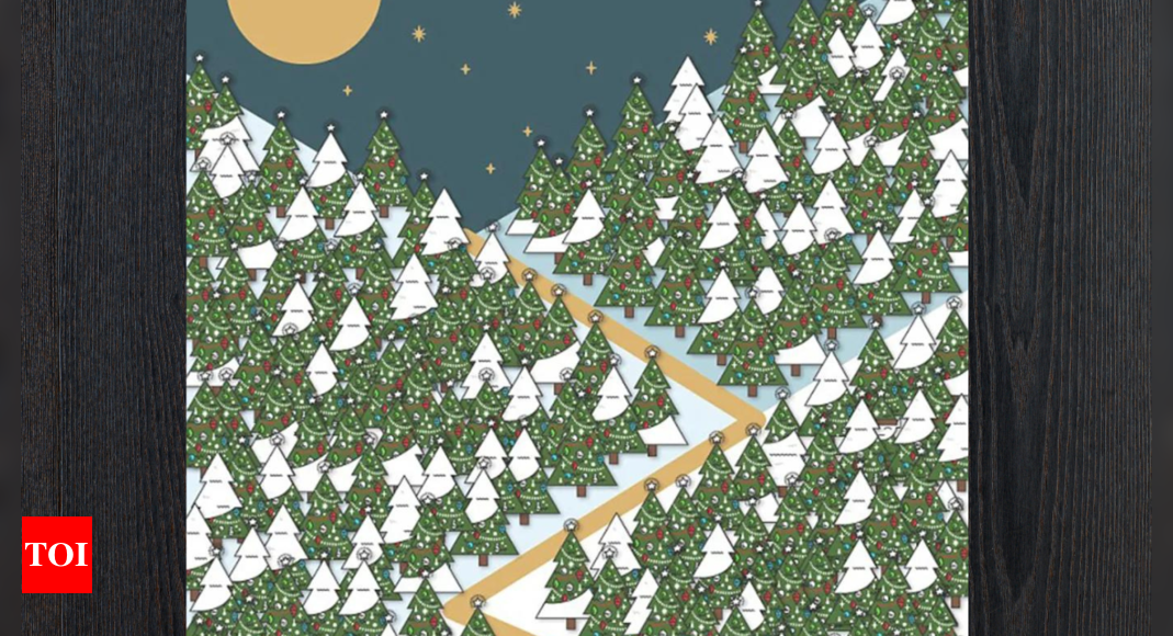 Optical Illusion: Only people with extremely sharp vision can spot the elf in the forest |