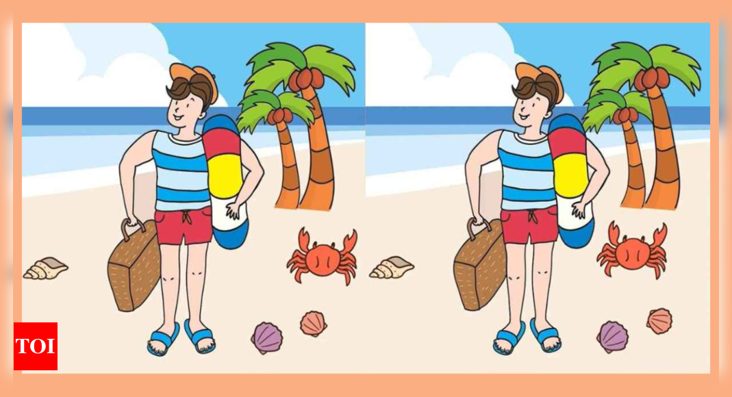 Optical Illusion: Only sharpest eyes can spot 3 differences in this beach photo