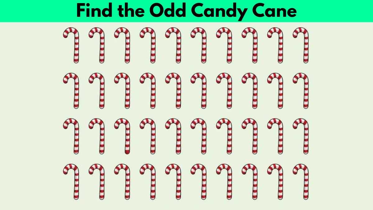 Optical Illusion: Only the Sharpest Eyes Can Find the Odd Candy Cane in 5 Seconds!