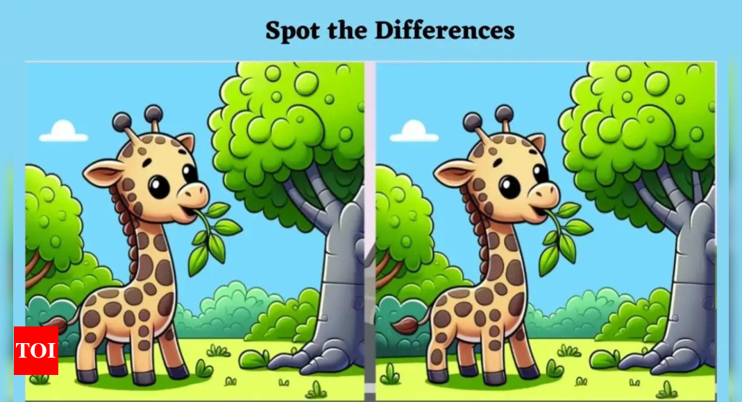 Optical Illusion: Only visually talented people can spot the differences in these Giraffe pictures |