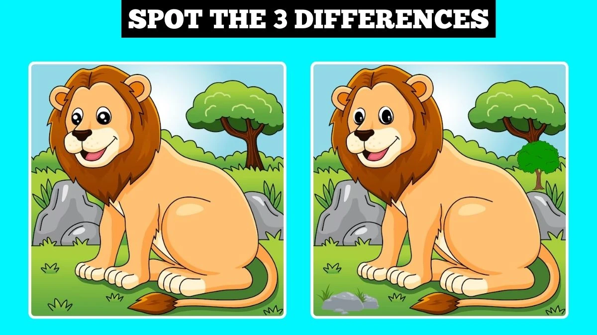 Optical Illusion Spot the Difference Game: Only People with 4k Vision Can Spot the 3 Differences in this Lion Image in 10 Secs