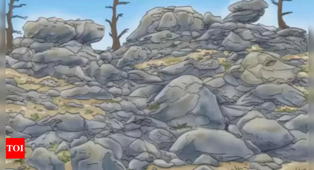 Optical Illusion: Spot the dog around the rocks in under 5 seconds |