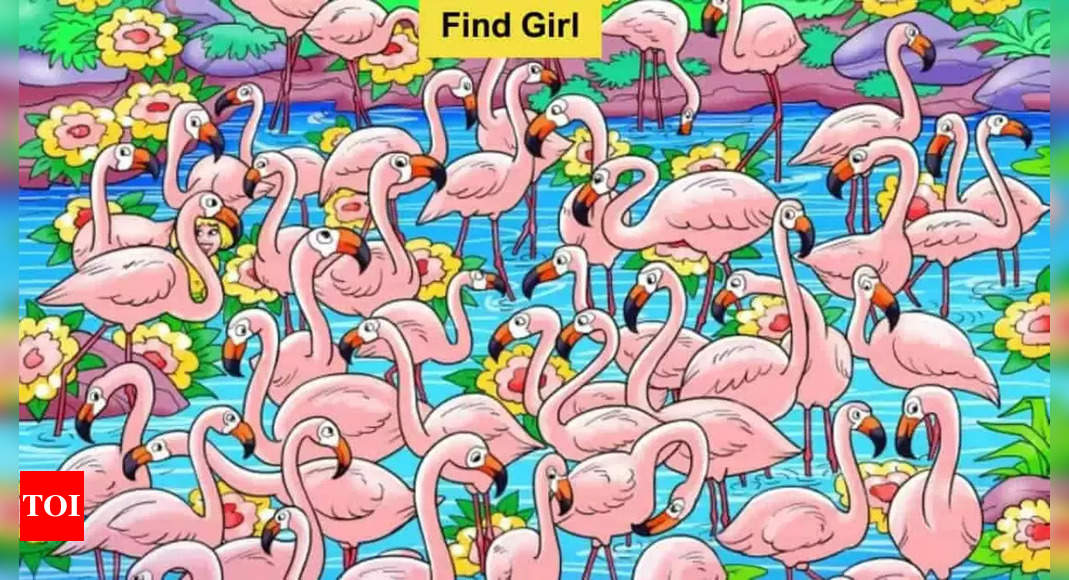 Optical Illusion: Spot the hidden girl amongst the swans in this image!