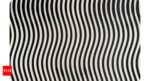 Optical Illusion: Viral Optical Illusion: Can you spot a woman's face among these lines? |