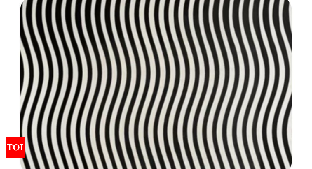 Optical Illusion: Viral Optical Illusion: Can you spot a woman's face among these lines? |