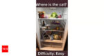 Optical Illusion: You are a true feline lover if you can spot the cat hiding in this refrigerator |