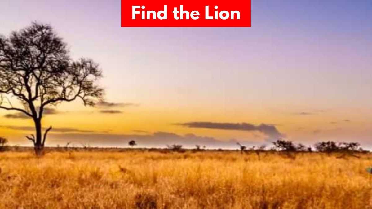 Optical Illusion: You have 20/20 vision if you can find the lion in 4 seconds!