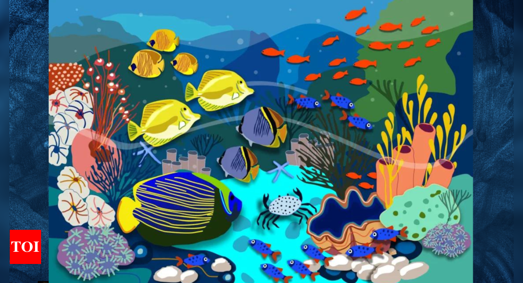 Optical illusion: Find the hidden seashell in under 7 seconds