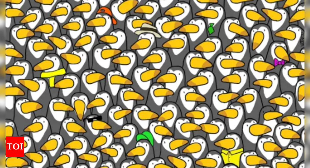 Optical illusion: You have the eyes of a hunter if you can spot the penguin among toucans in ten seconds |