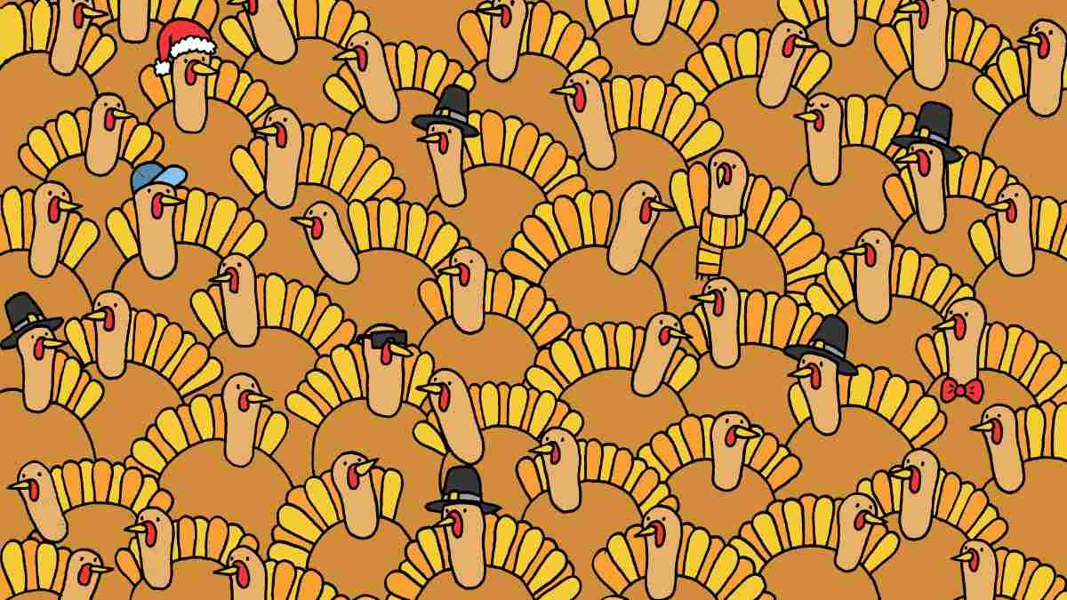 Picture Puzzle IQ Test: Can You Spot The Pumpkin Hidden Among Turkeys? Only 1% Sharp Eyes Find It In 5 Seconds!