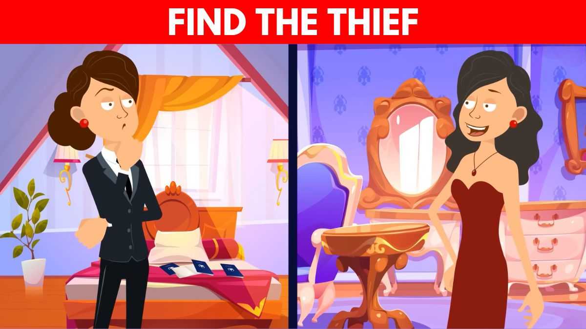 Picture Puzzle IQ Test: Think You’re Sharp? Prove It by Finding the Thief in 6 Seconds!