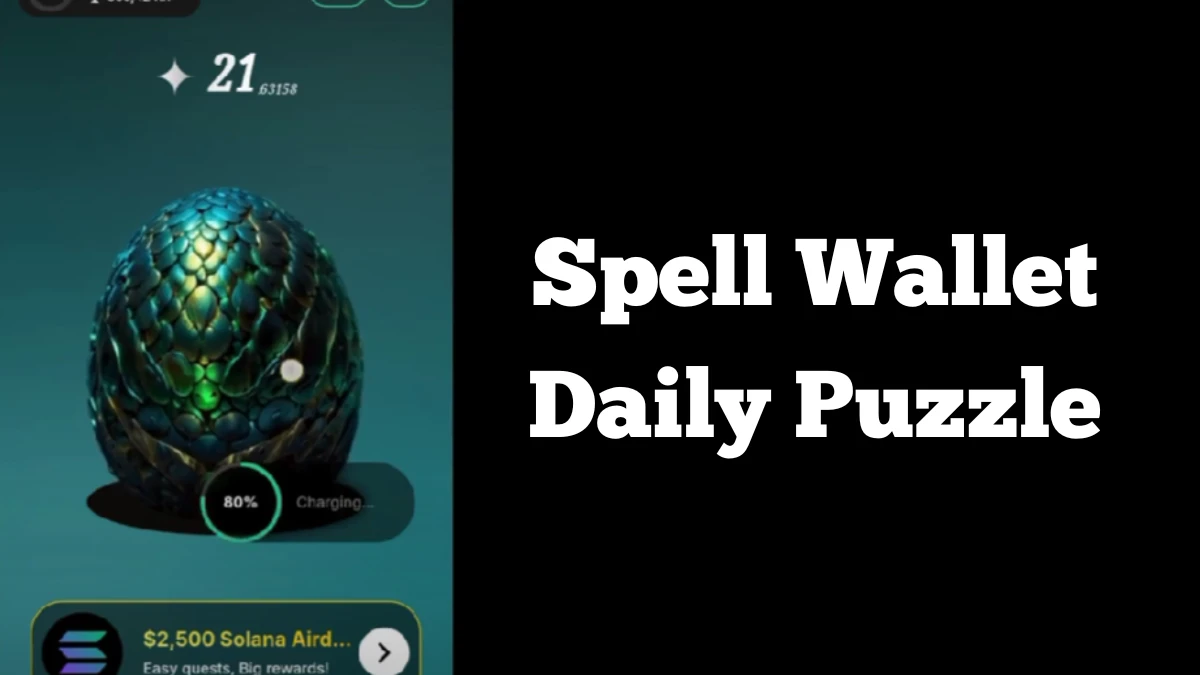 Spell Wallet Daily Puzzle 13 December 2024