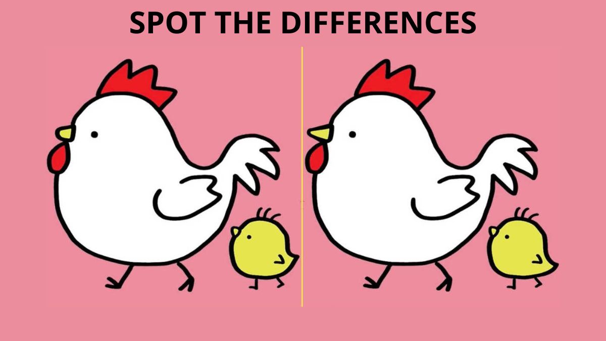 Spot 3 Differences Between the Pictures of a Hen and Her Chick in 15 Seconds!