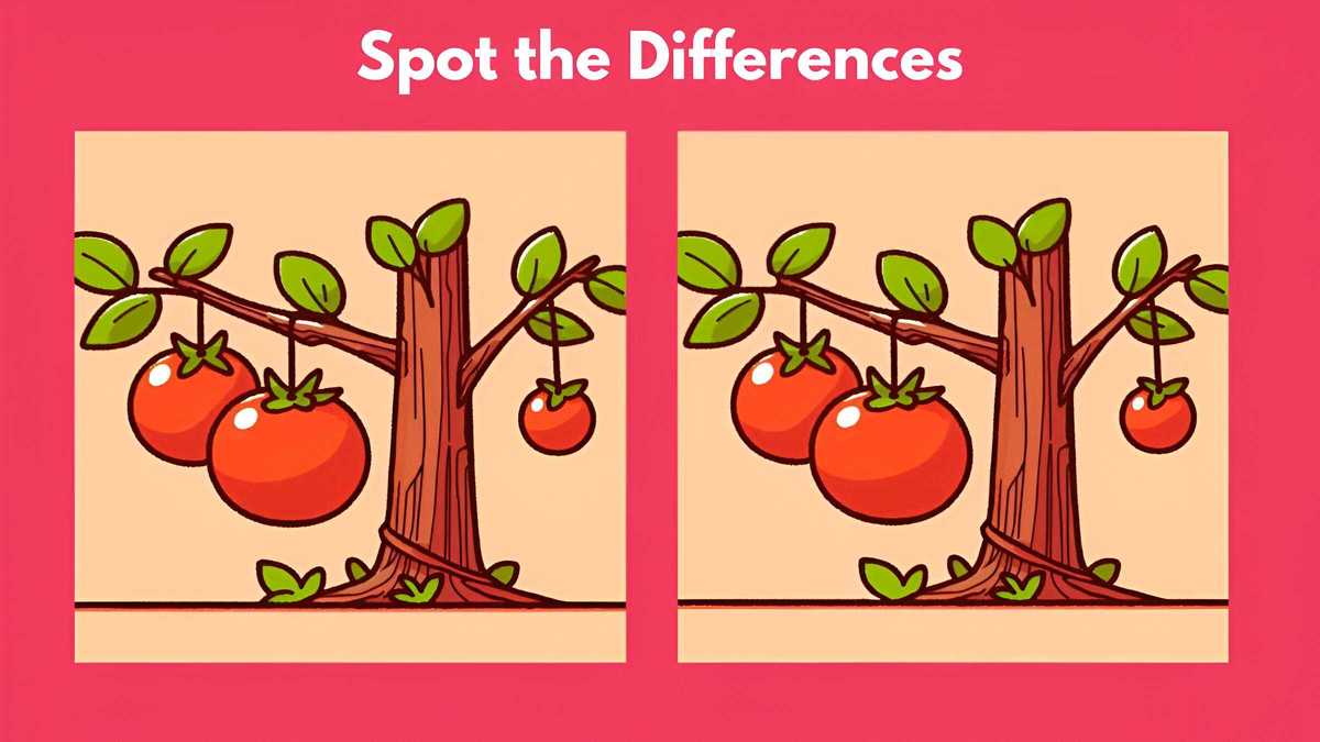 Spot 3 differences between the tree pictures in 14 seconds!