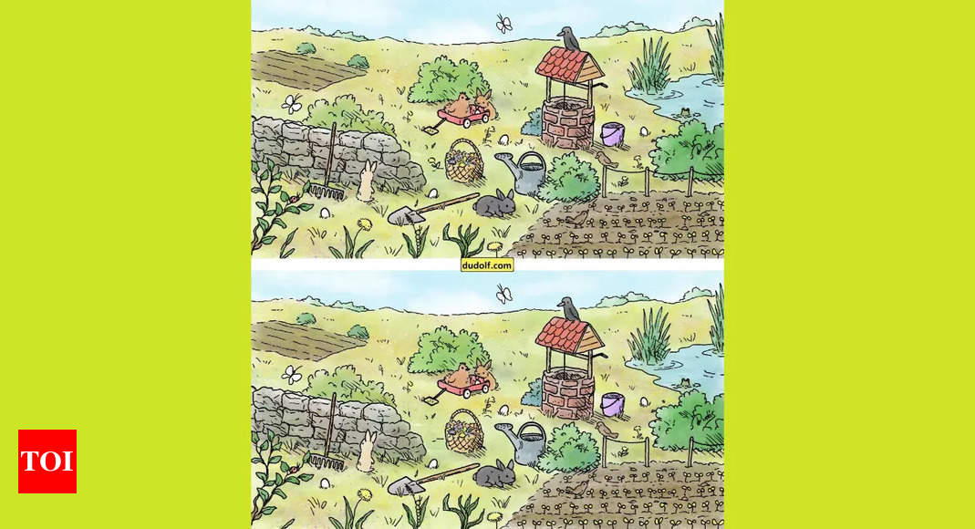 Spot The Differences: Can You Find 6 Differences Between the Images in 23 Seconds? Put Your Observation Skills to the Test! - Times of India |