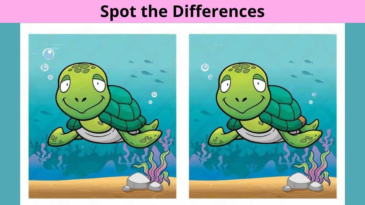 Spot the Differences Between the Turtle in the Water Pictures in 15 Seconds!