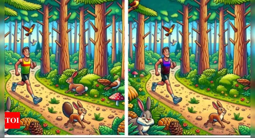 Spot the Differences in Optical Illusions and Test Your High IQ |