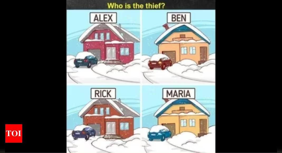 Who is the Thief? Solve the Brain Teaser and Find the Culprit |