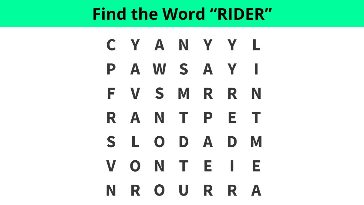 Word Search Puzzle: Find the word ”RIDER” in 7 seconds!