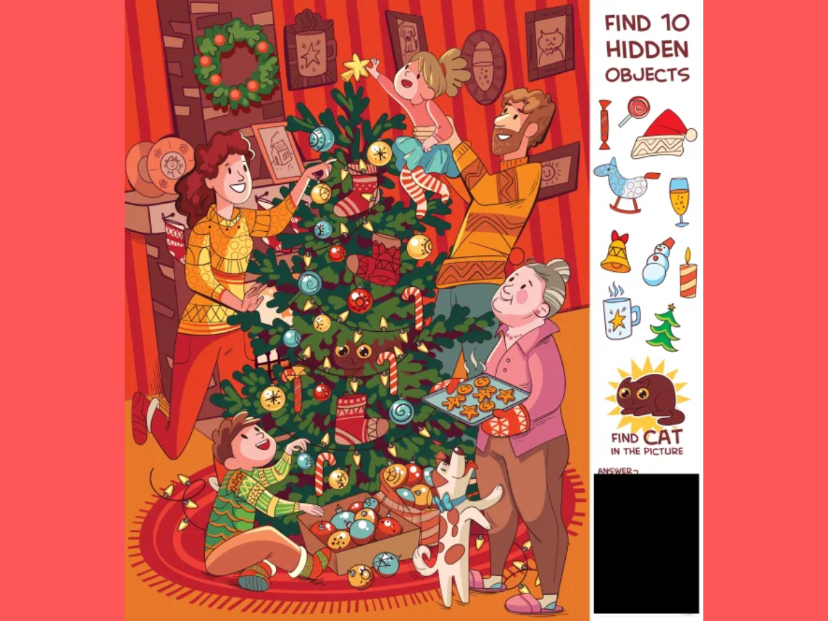 ​You are a genius if you can spot 10 hidden objects in this Christmas tree​