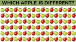 Optical Illusion: You have 20/20 vision if you can find a different apple in 3 seconds!