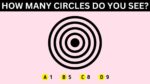 Brain Teaser: How Many Circles Are There? Only People With Extraordinary Intelligence and Focus Pass This IQ Test In 5 Seconds!