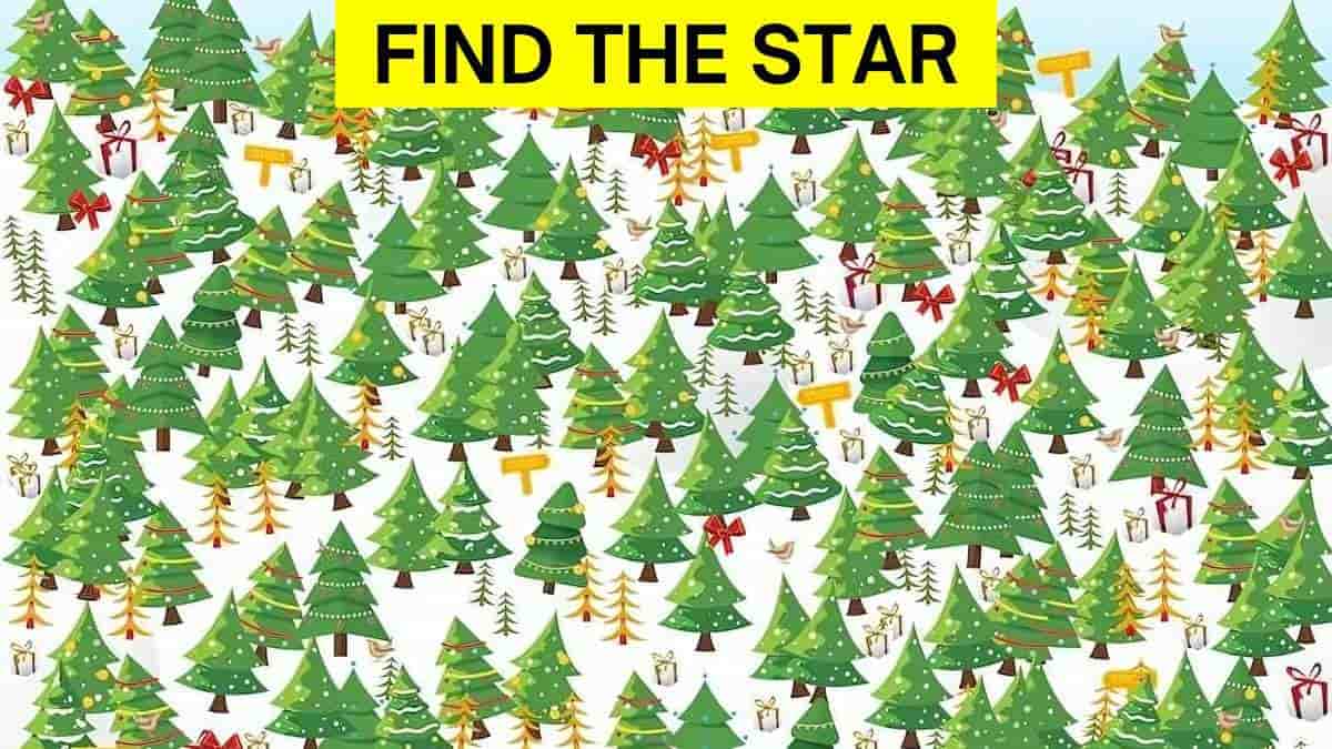 Brain Teaser: Where’s the Star? Only 2% With Sharp Eyes Can Find It in 7 Seconds!