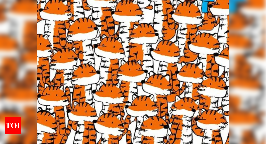 Can you spot FOUR cats hidden among the tigers?