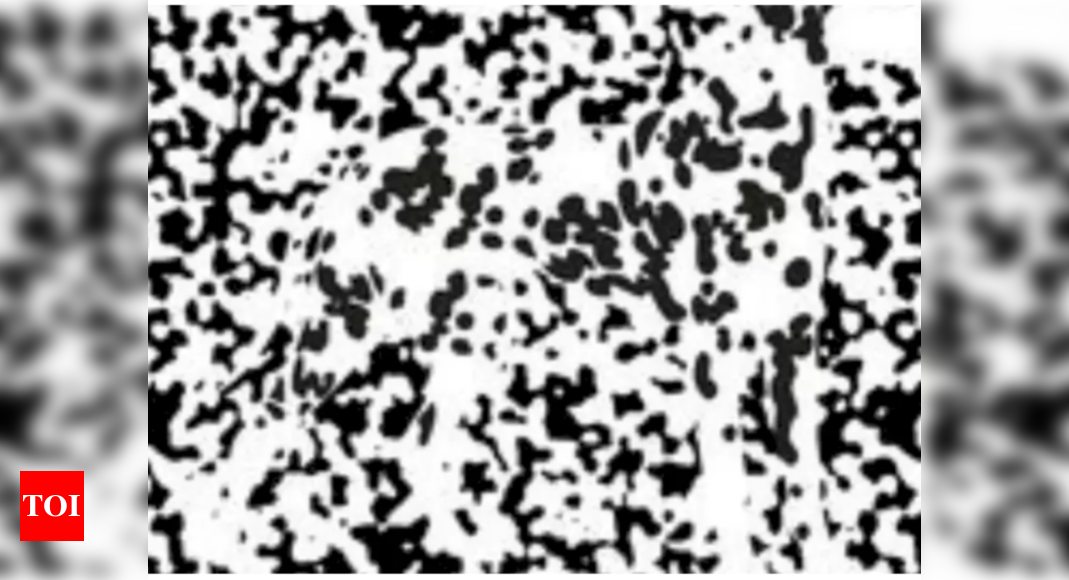 Can you tell what animal is hiding among these black and white spots?