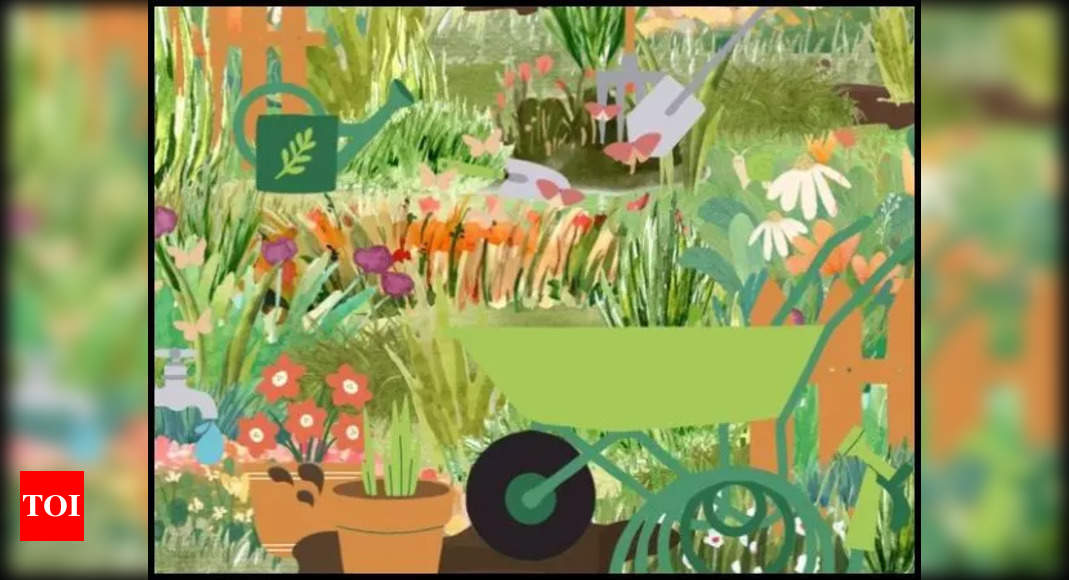 Challenge: Can you find 2 insects in this garden picture? You only have 8 seconds