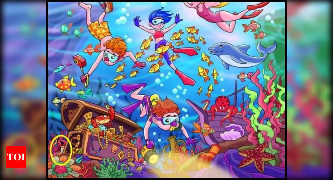 Challenge: Can you spot a shoe in this underwater scene in 7 seconds?