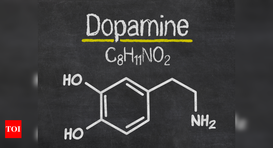 Dopamine: What is it and how does it impact our body? |