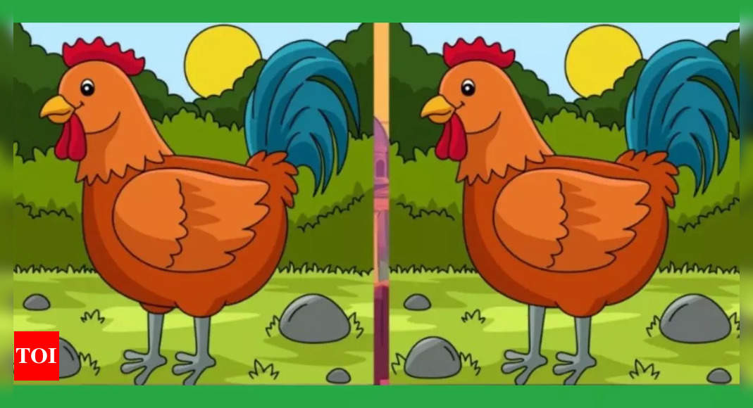 Find the difference: Can you spot THREE differences within 15 seconds?