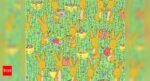 Optical Illusion: Can you spot the chicken in 20 seconds? |