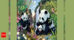 Optical Illusion: Find the 12 hidden pandas in this image