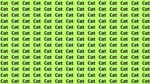 Optical Illusion IQ Test: Can You Spot The Word 'Cut' Hidden Among Cats In 5 Seconds?