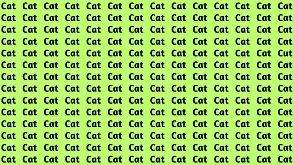 Optical Illusion IQ Test: Can You Spot The Word 'Cut' Hidden Among Cats In 5 Seconds?