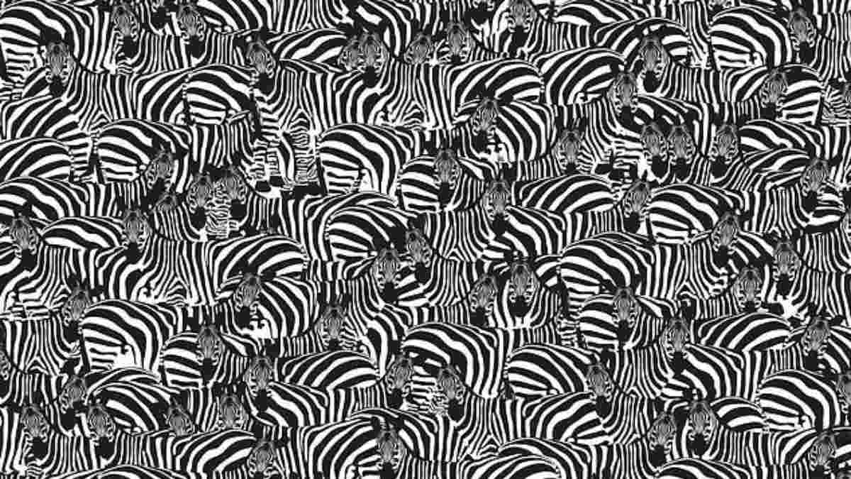 Optical Illusion IQ Test: There Is A Piano Hidden Among Zebras! Can You Spot It In 5 Seconds?