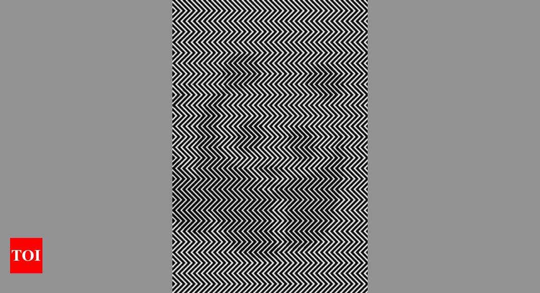 Optical Illusion: Only those with sharp eyesight can see the hidden panda