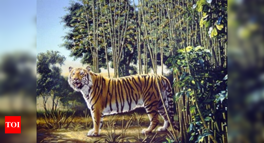 Optical illusion: Spot the hidden tiger in this image; Only 1% have solved this riddle so far