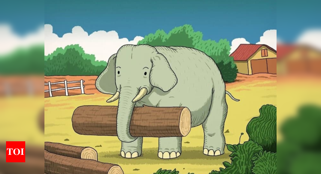 Puzzle: Can you find the horse in this elephant farm picture?