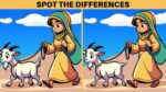 Spot the Differences: Find 3 differences between the girl with her goat pictures in 12 seconds!