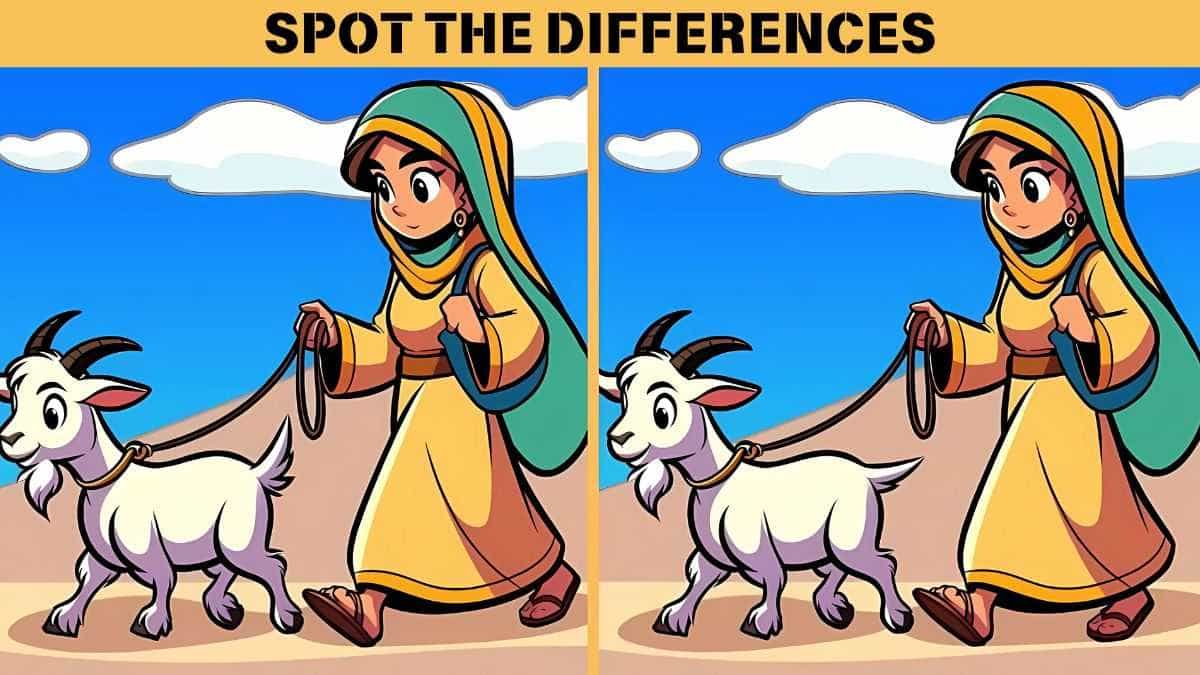 Spot the Differences: Find 3 differences between the girl with her goat pictures in 12 seconds!